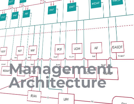 Management and Orchestration Standards for 5G