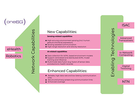 A 6G ecosystem for the Verticals: Considerations for e-Health and Robotics  